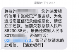 四川四川的要账公司在催收过程中的策略和技巧有哪些？